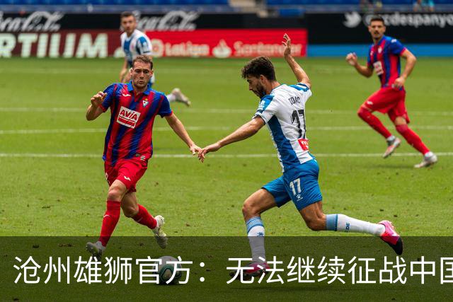沧州雄狮官方：无法继续征战中国足球职业联赛